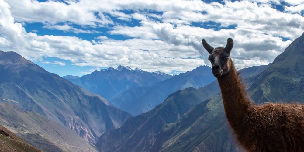 Choquequirao Trek 4 Days