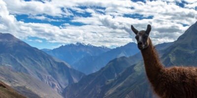Choquequirao Trek 4 Days