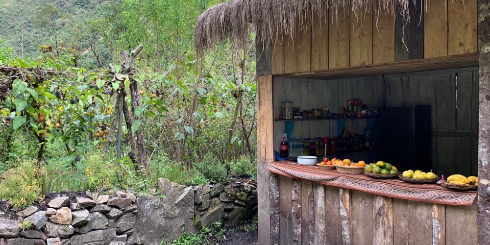 A little food in the jungle, without a doubt the 4-day salkantay trek has a lot to offer