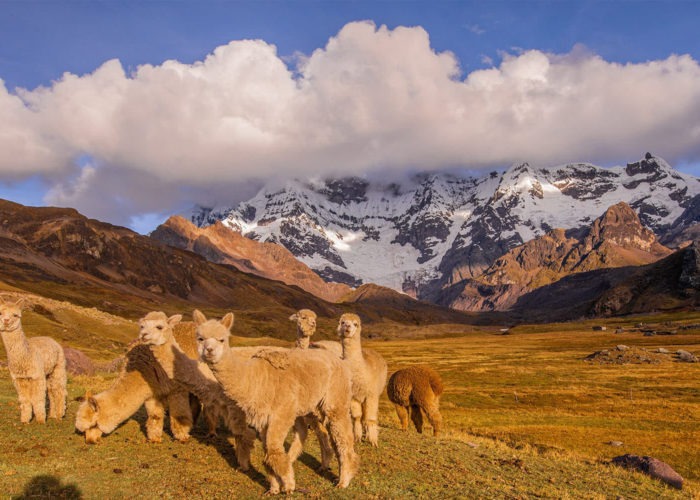 Ausangate Trek 7 Days