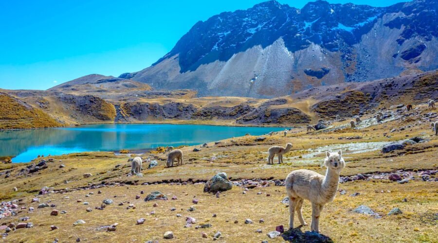 Rainbow Mountain And Ausangate Trek To Machu Picchu 3 Days