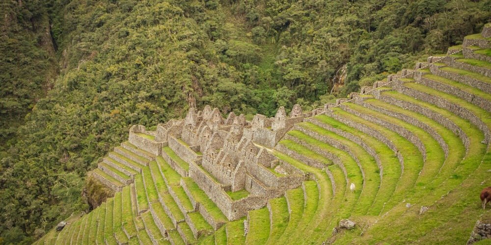 One Day Inca Trail