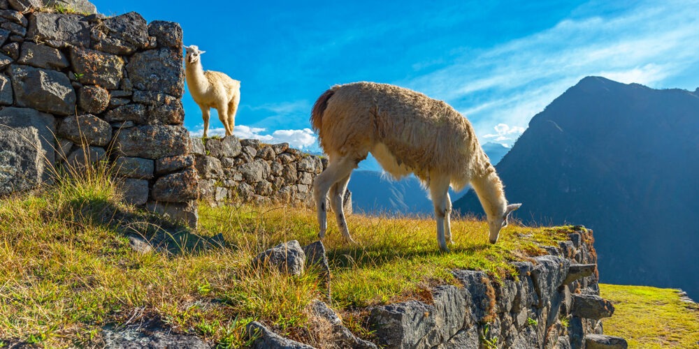 Ausangate Trek to Machu Picchu Package 6 Days cusco