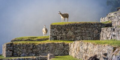 Machu Picchu Tour