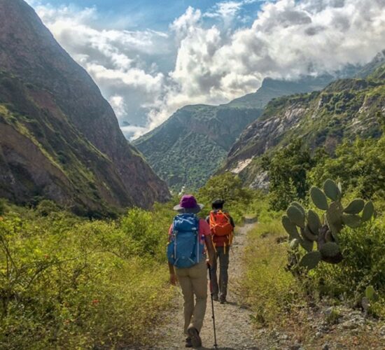 we walk through beautiful landscapes as the Choquequirao trail has beautiful views