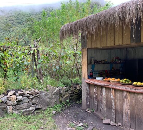 on the salkantay trek we enjoy fresh fruits on the 3rd day