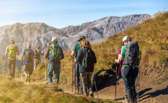 mountain trekking poles