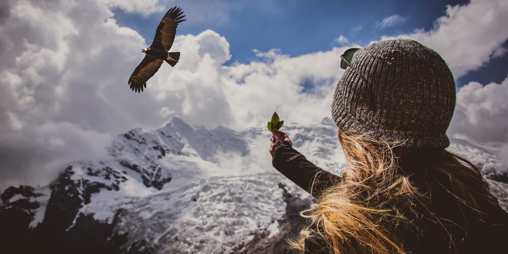 Ausangate mountain and condor