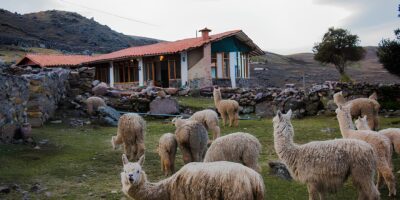 Our Lodge in Pacchanta Our Lodge in Pacchanta