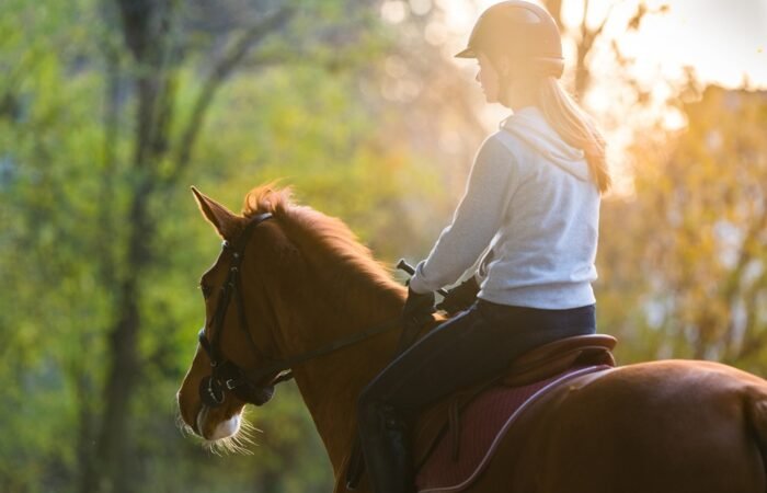 Horseback riding