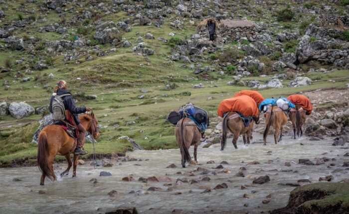 Our Horsemen & Horses in Salkantay Trek