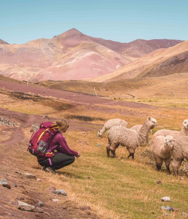 Ausangate and Rainbow Mountain Trek plus Short Inca Trail 4 Days