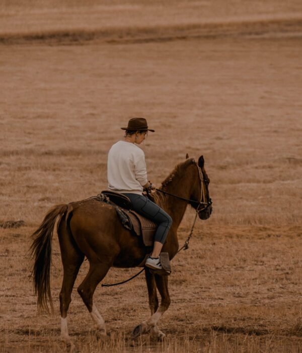 Picnic with horseback riding to the 7 lakes of Ausangate 1 day