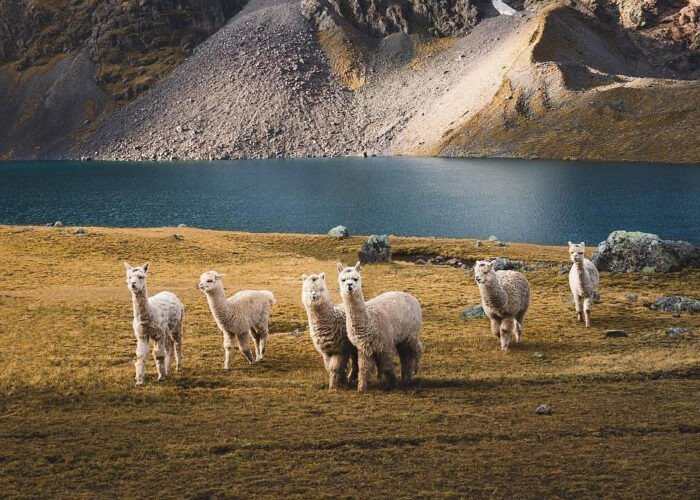 Ausangate trek