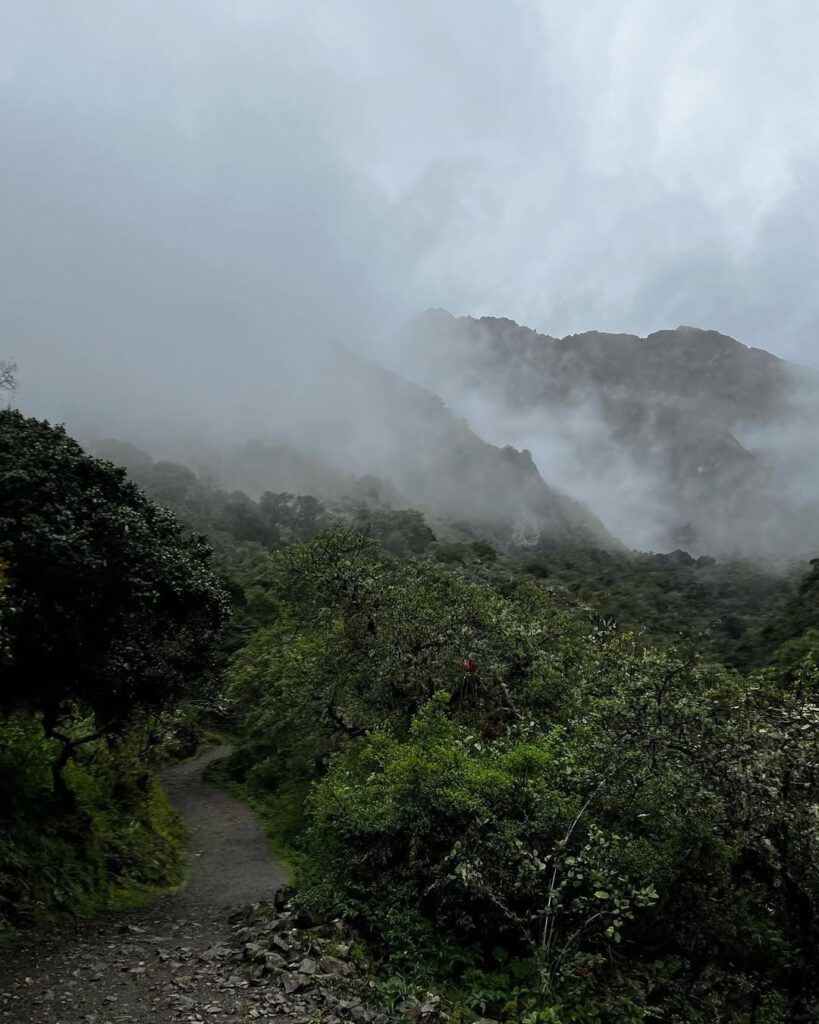 Why You Should Hike the Inca Trail in 2025 10 This unique trail takes you through towering mountains, lush forests and ancient ruins.