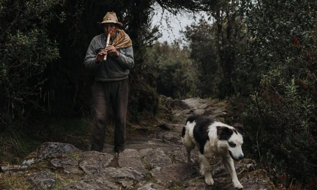 Why You Should Hike the Inca Trail in 2025 11 Walk on these stones, placed by the Incas centuries ago.