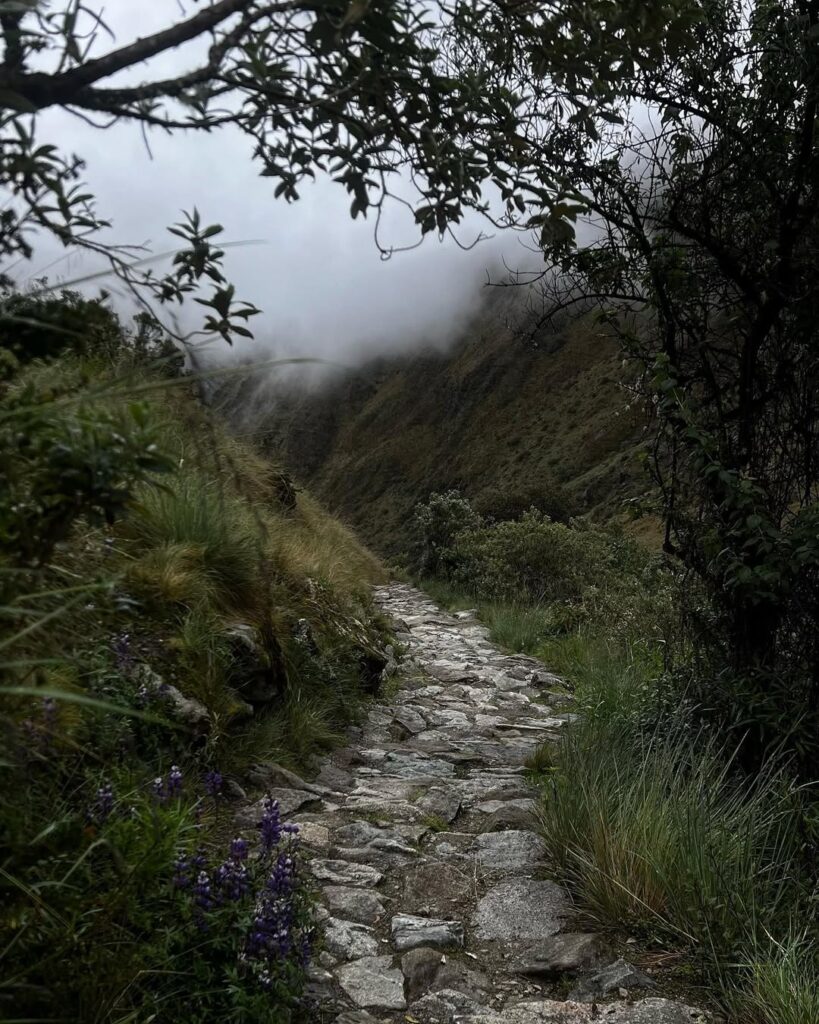 Why You Should Hike the Inca Trail in 2025 9 an experience that combines history, culture and unforgettable landscapes.