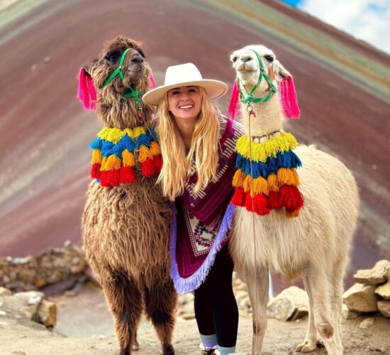 A photo with the alpacas