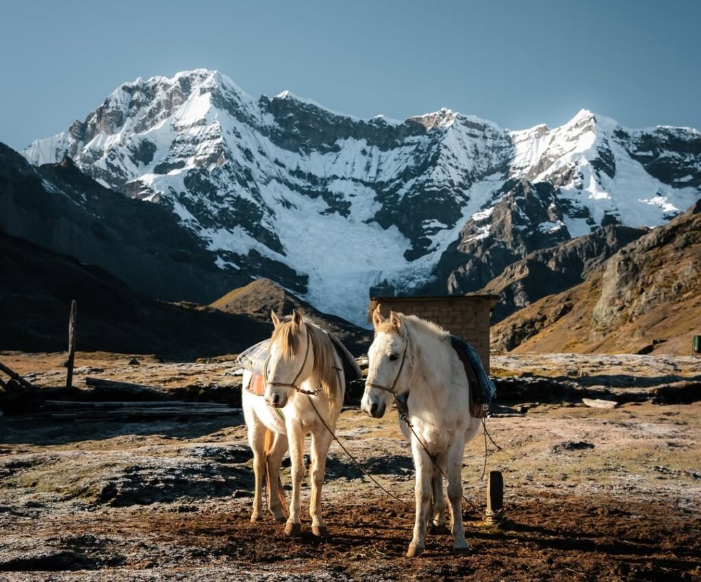 The journey to Ausangate and the 7 Lakes through horseback riding