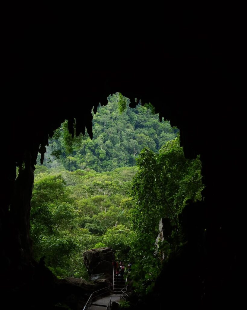 Cave of the owls