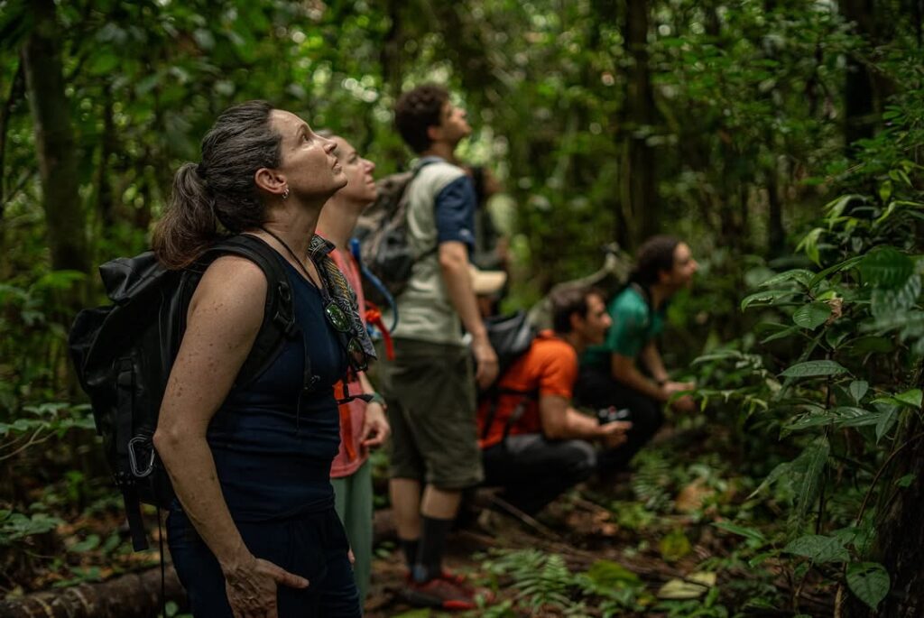 Manu National Park (Madre de Dios y Cusco)