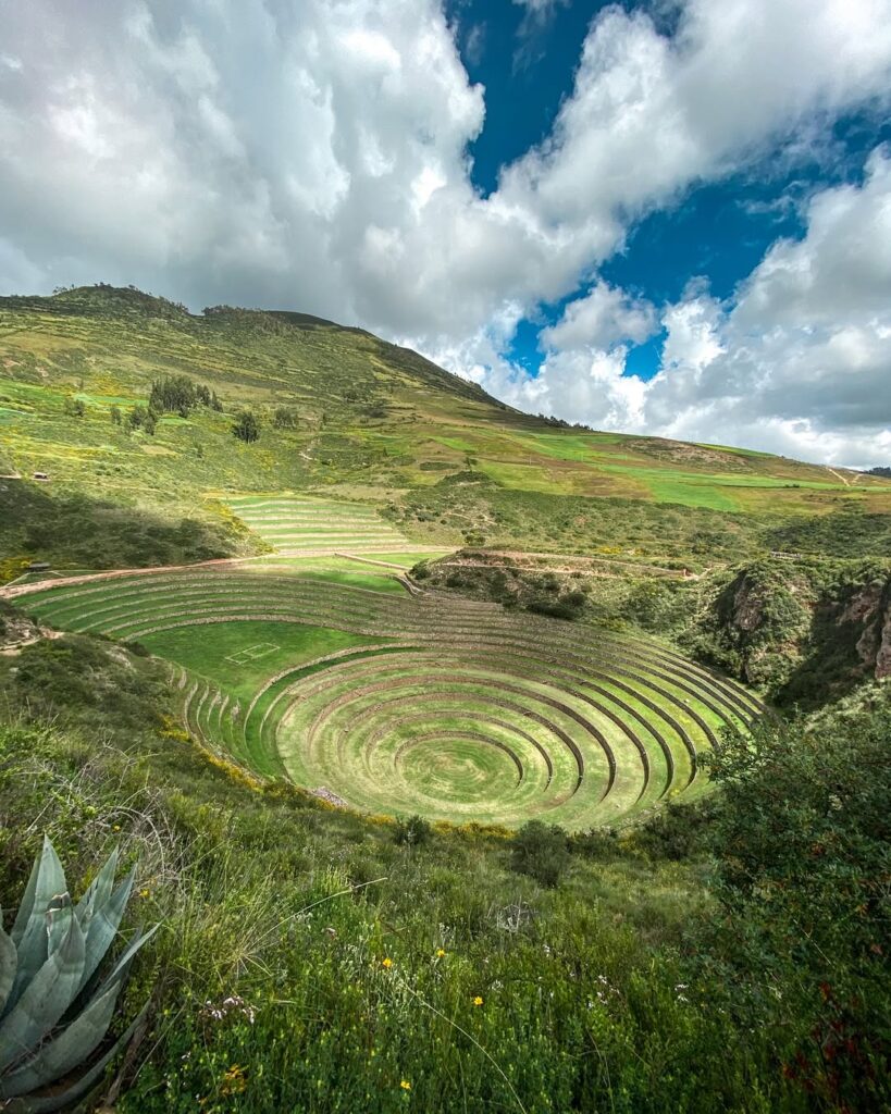 Maras Moray