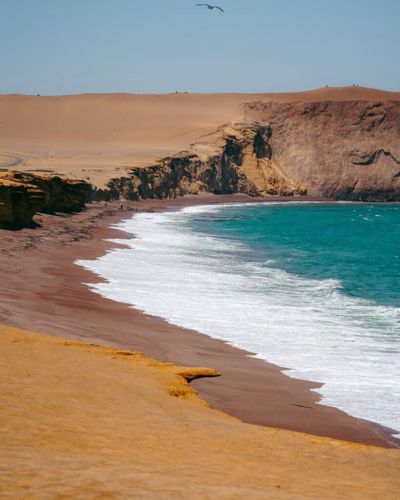 Reserve Paracas