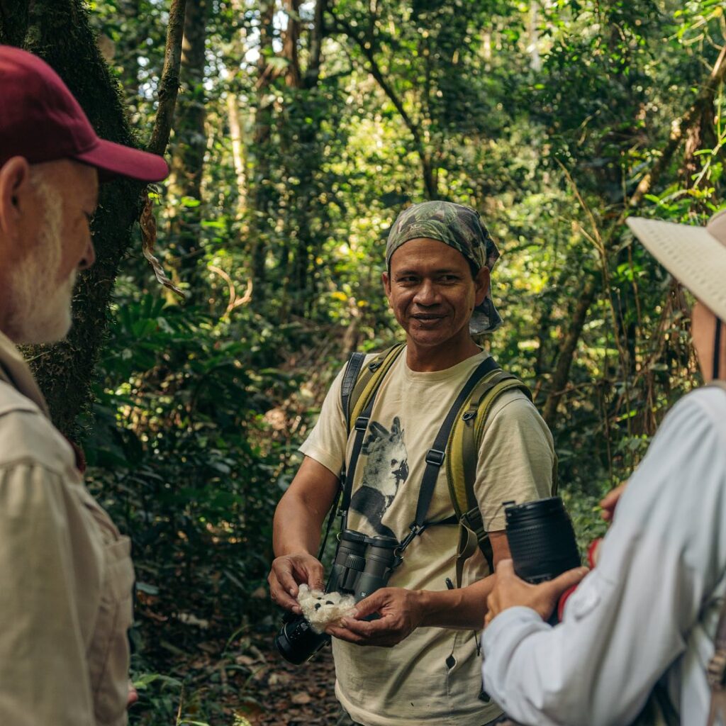 Tambopata National Reserve (Madre de Dios)