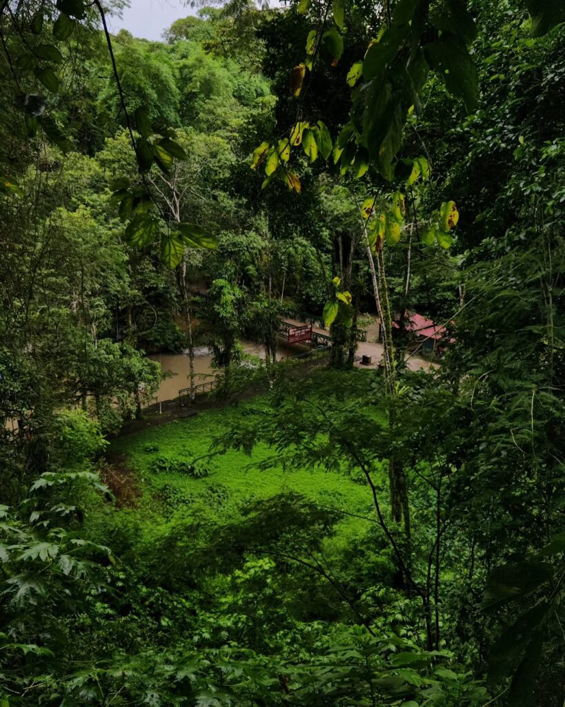 Tingo María and the Cave of the Owls (Huánuco)