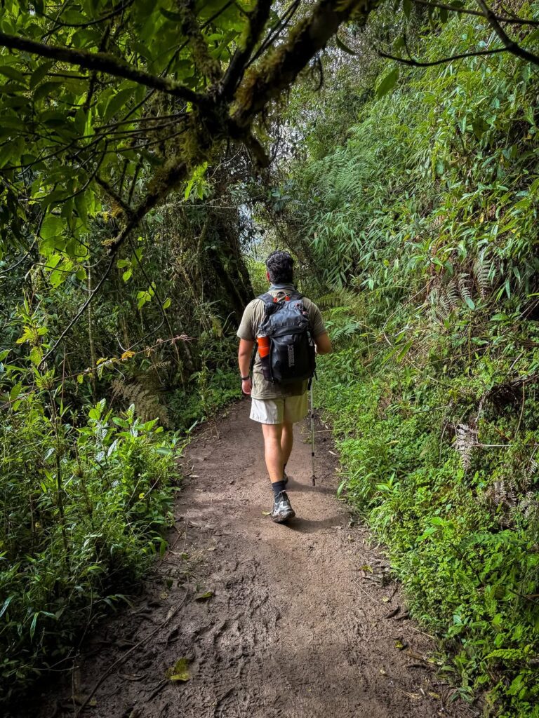 Tourists walking the Inca Trail