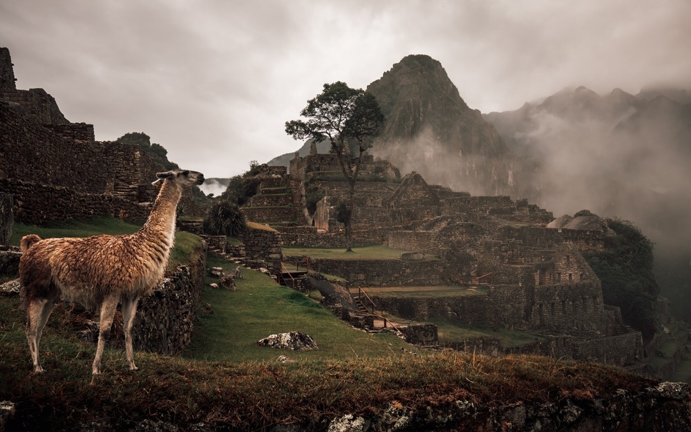 Machu Picchu Circuit 3