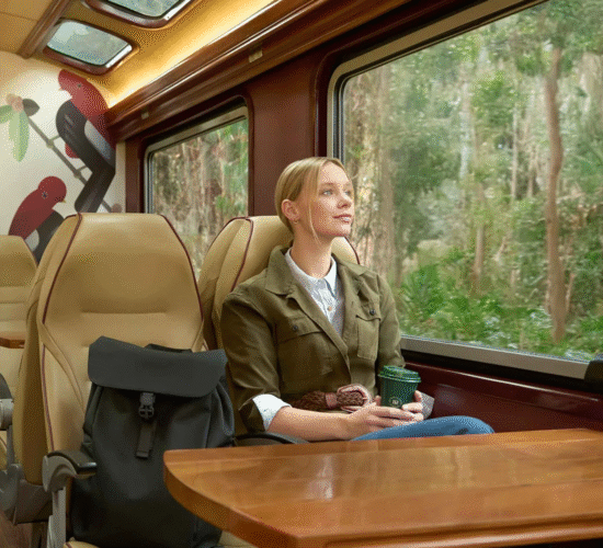 Train To Aguas Calientes