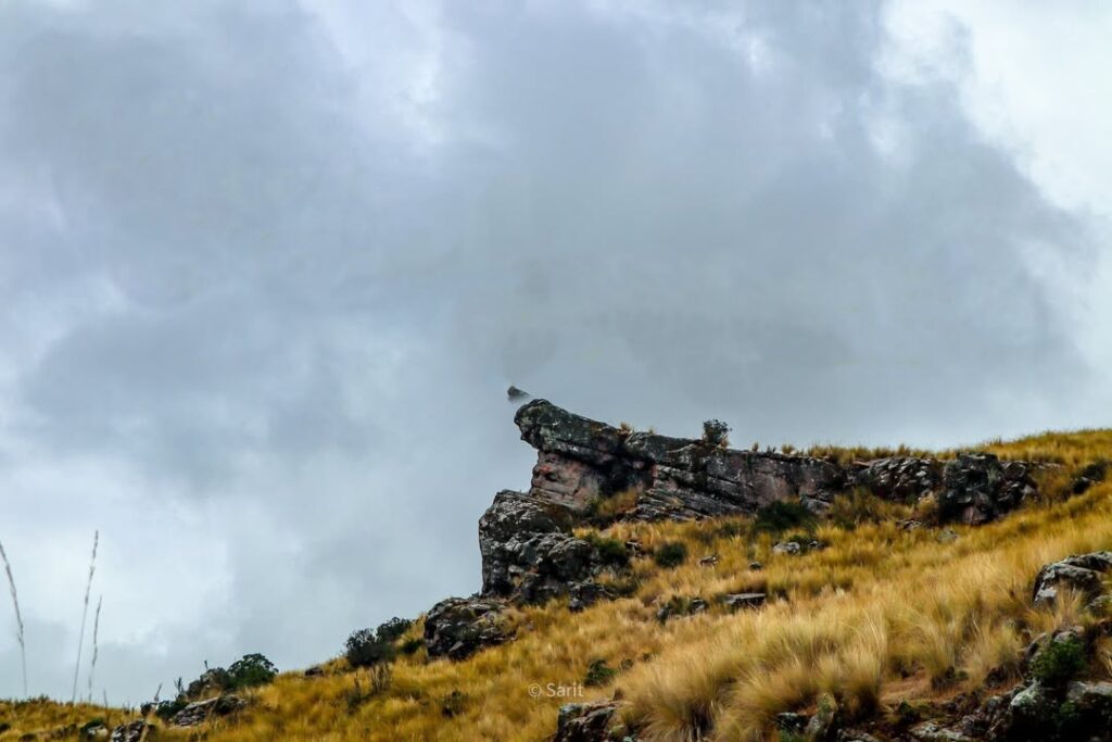 Apus: The Sacred Mountains of Peru 24 Apu Mama Simona