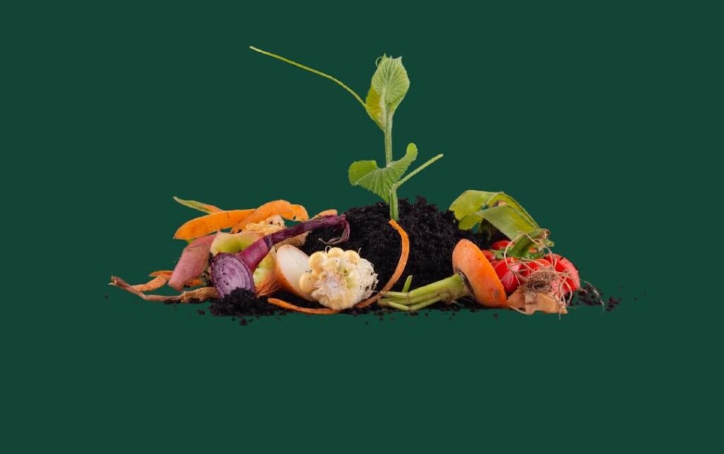 The Best Foods to Eat While Hiking: Fuel Your Adventure 17 vegetables