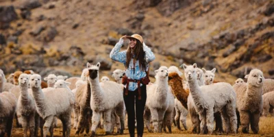 Beautiful day in Quelcaya Beautiful day in Quelcaya