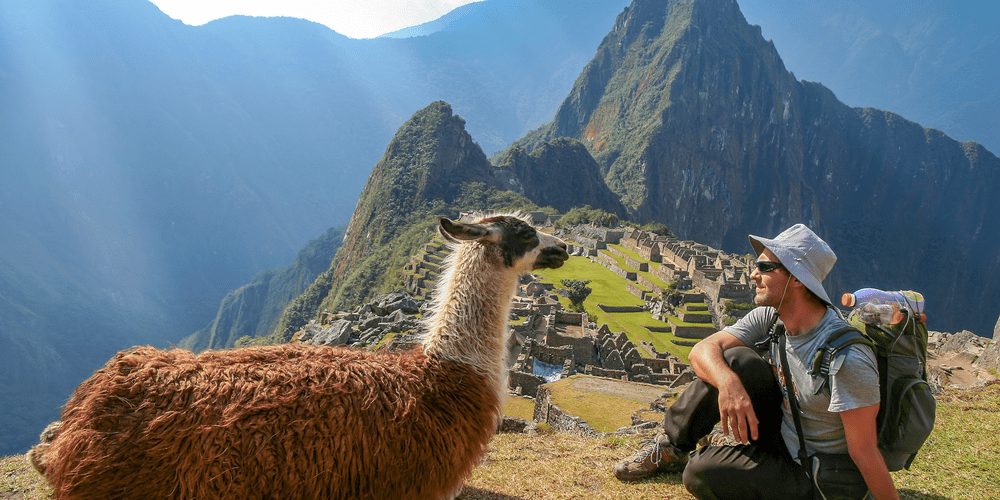 Machu Picchu Viewpoint With the Llama