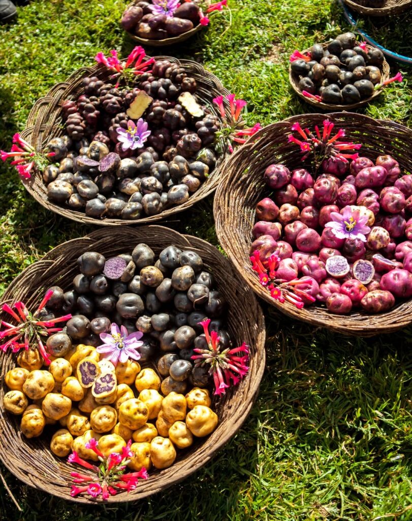 Peruvian ingredients at the potato park
