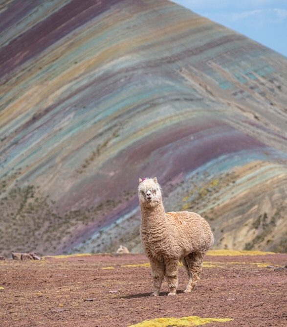 Rainbow Mountains in Peru: Everything You Need to Know 14 Palccoyo Mountain of Colors