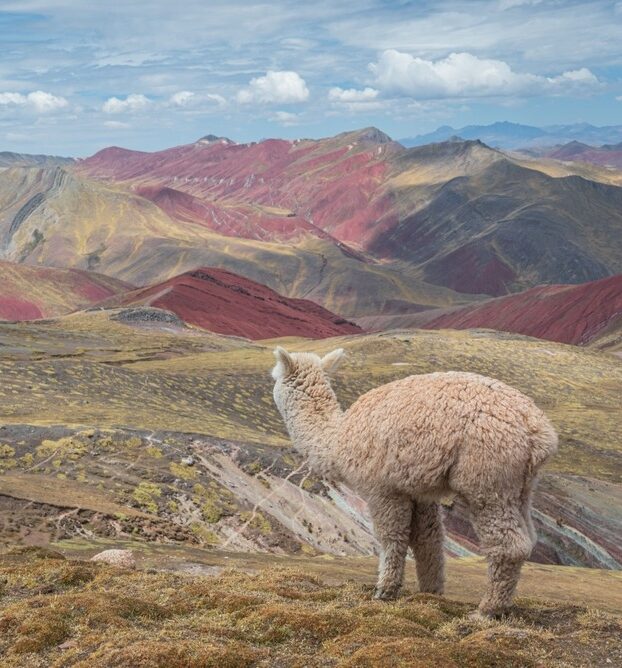 Rainbow Mountains in Peru: Everything You Need to Know 15 Rainbow Mountain: Palccoyo