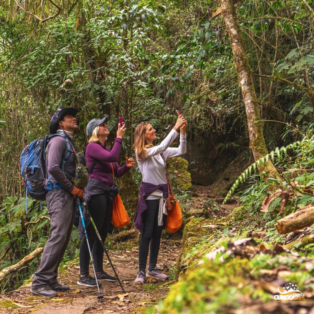 Understanding the Importance of Sustainability