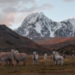Ausangate Trek To Rainbow Mountain 2 Days