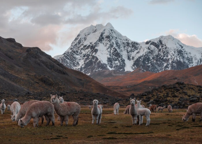 Ausangate Trek To Rainbow Mountain 2 Days