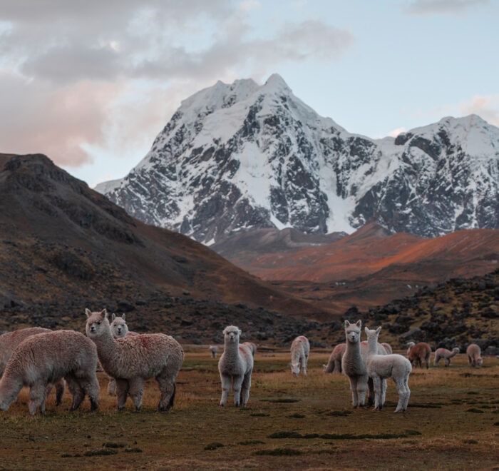 Ausangate Trek To Rainbow Mountain 2 Days