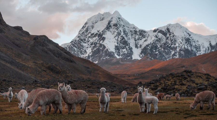 Ausangate Trek To Rainbow Mountain 2 Days
