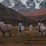 Ausangate Trek To Rainbow Mountain 2 Days Header