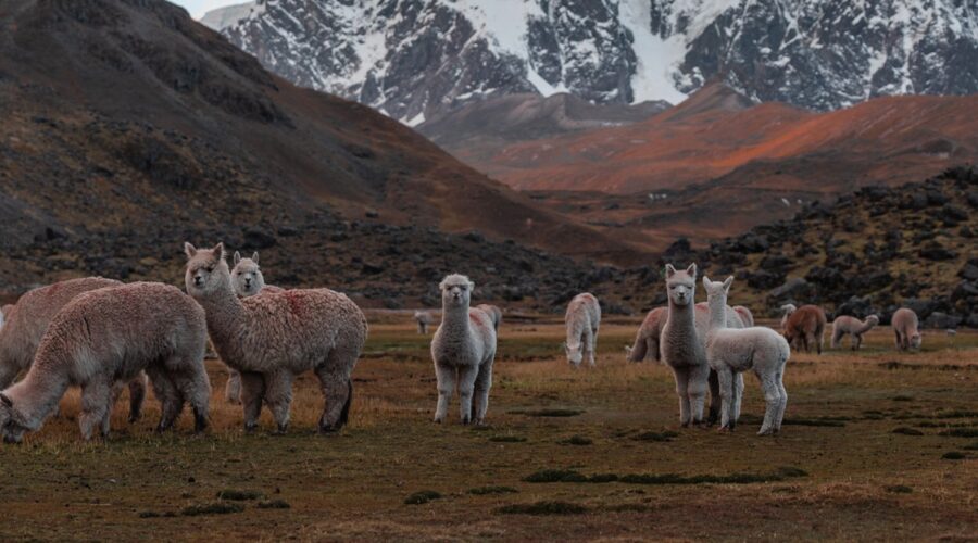 Ausangate Trek To Rainbow Mountain 2 Days Header
