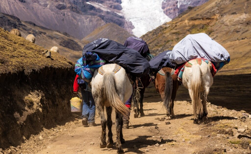 Is Ausangate Trek Difficult? A Guide for Beginners 7 muleteers with the horses